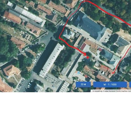 Bazsalikom Vendeghaz Sárospatak Екстериор снимка